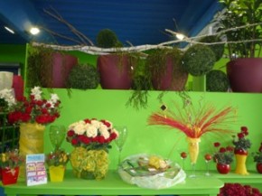deco02