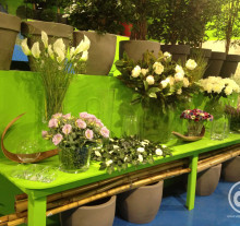decor (1)