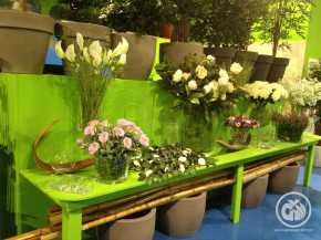 decor (1)
