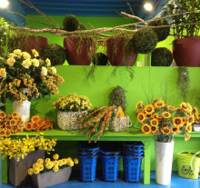 decor (2)