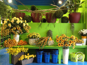 decor (2)