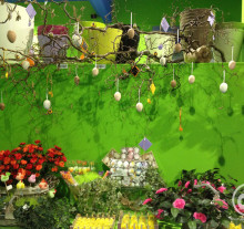decor (20)