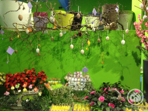 decor (20)