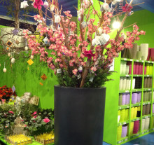 decor (21)