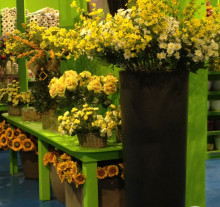 decor (27)
