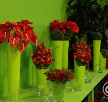 decor (29)