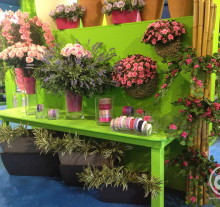 decor (3)