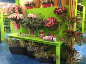 decor (3)