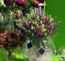 decor (32)