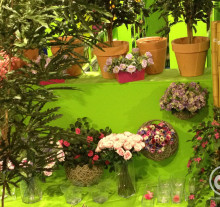 decor (35)