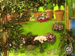 decor (35)