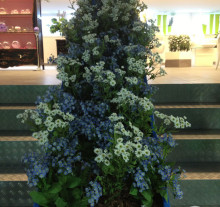 decor (4)