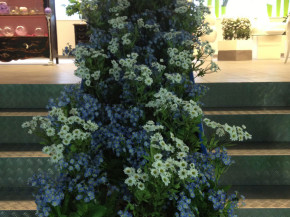 decor (4)