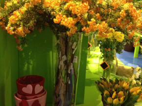 decor (43)