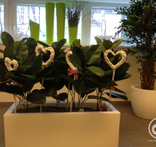 decor (6)