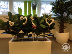 decor (6)