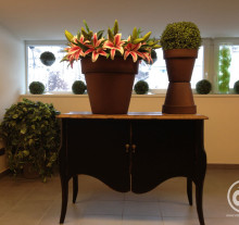 decor (8)