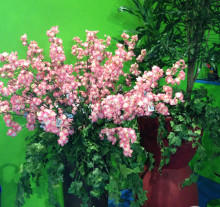 decor (9)
