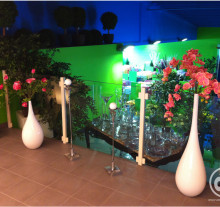 Varese-Gardening_corso-Chemartis2