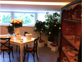 Varese-Gardening_corso-Chemartis4