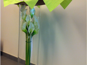 Varese-Gardening_corso-Chemartis6