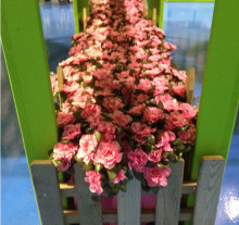 Varese-Gardening_fiori2