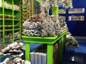 decorazione5_4