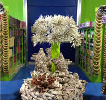decorazione5_5