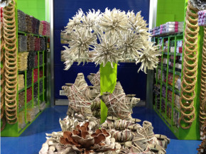 decorazione5_5