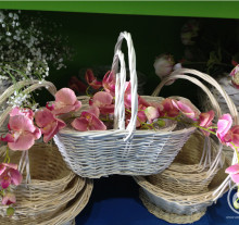 decorazione12