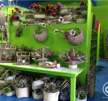 decorazione4