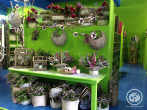 decorazione4