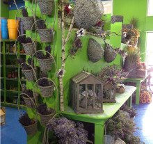 decorazione5_1