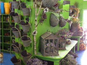 decorazione5_1