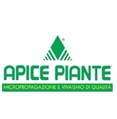 Apice Piante