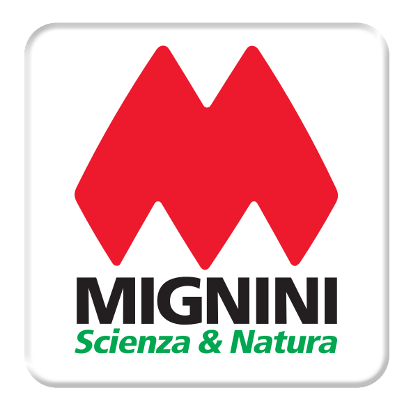 Mignini