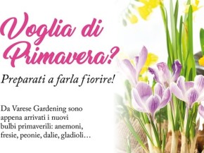 Voglia di primavera v4